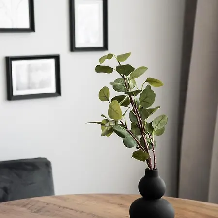 Appartement Bagno Centre